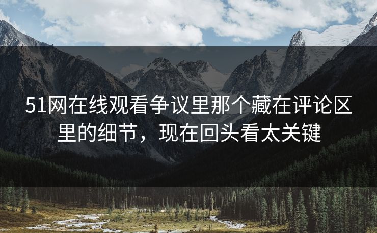 51网在线观看争议里那个藏在评论区里的细节，现在回头看太关键