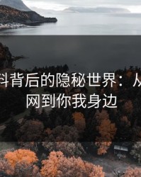 网络爆料背后的隐秘世界：从51爆料网到你我身边