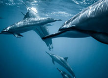 吃瓜爆料51关联内容背后不止一层，不少人看到这里改口了