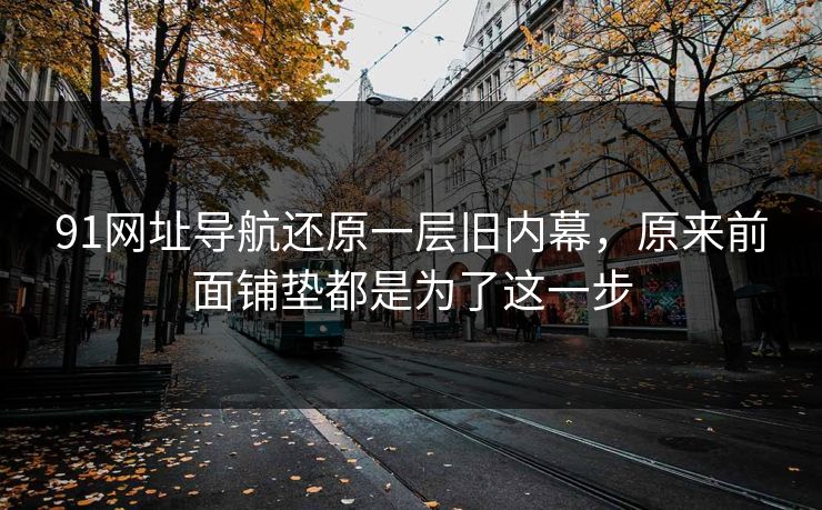 91网址导航还原一层旧内幕，原来前面铺垫都是为了这一步