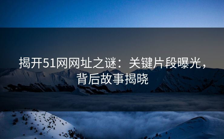 揭开51网网址之谜：关键片段曝光，背后故事揭晓
