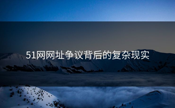 51网网址争议背后的复杂现实